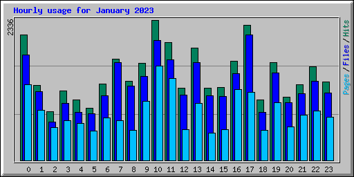 Hourly usage for January 2023